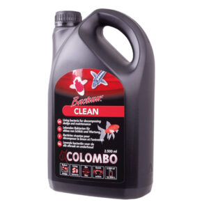 Colombo  Clean