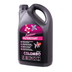 Colombo Filter Start